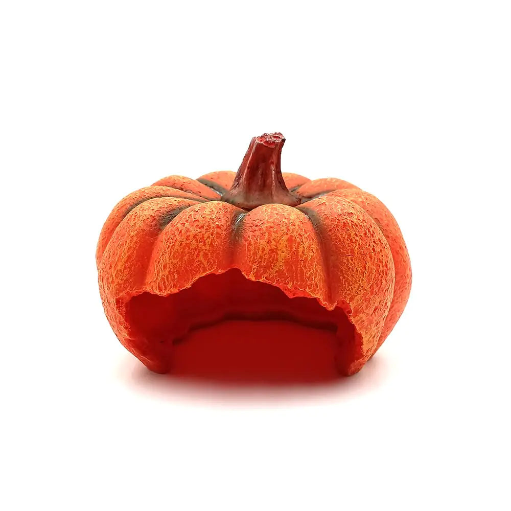 Shelltech Reptile Hideout Resin Aquarium Decoration Pumpkin House for Small FishShrimpsFrogsGecko Spider (Mini Pumpkin)